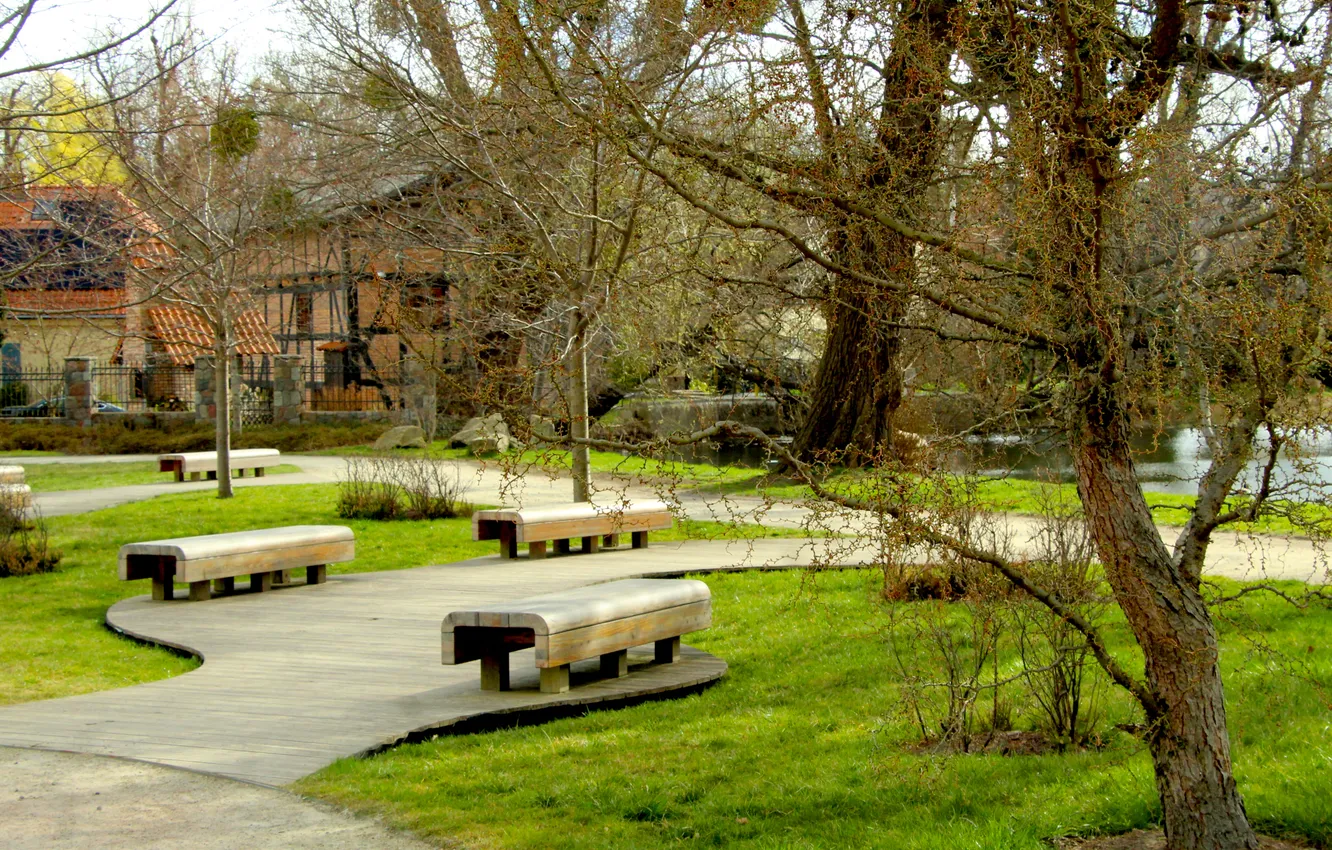 Photo wallpaper park, bench, alley