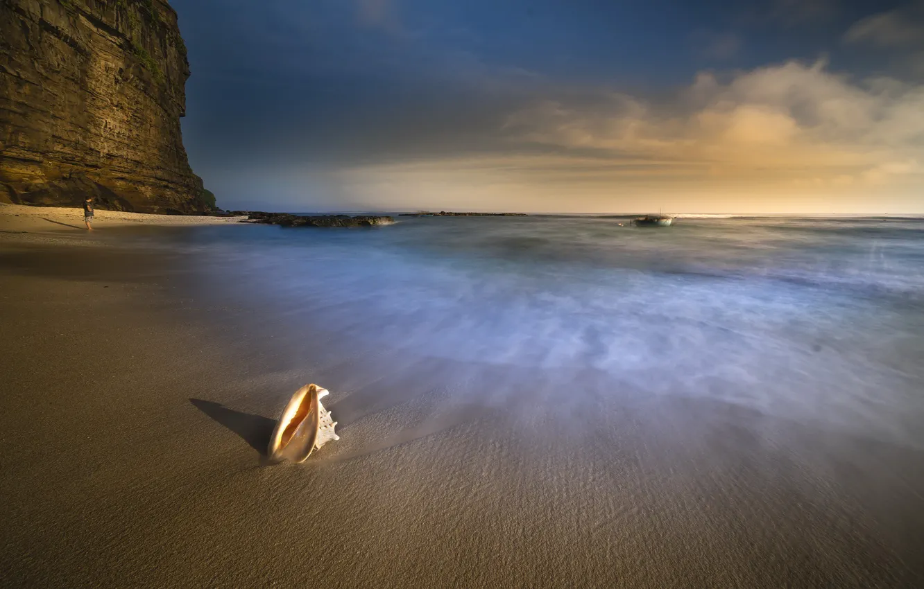 Photo wallpaper sand, sea, shore, Nature, shell