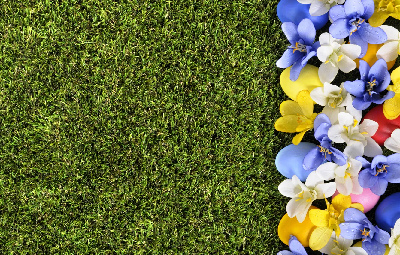 Photo wallpaper grass, flowers, spring, Easter, flowers, spring, Easter, eggs