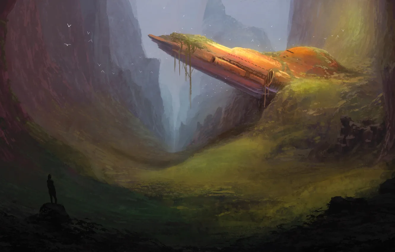 Photo wallpaper thickets, bird, people, ship, art, canyon, gorge, abandonment