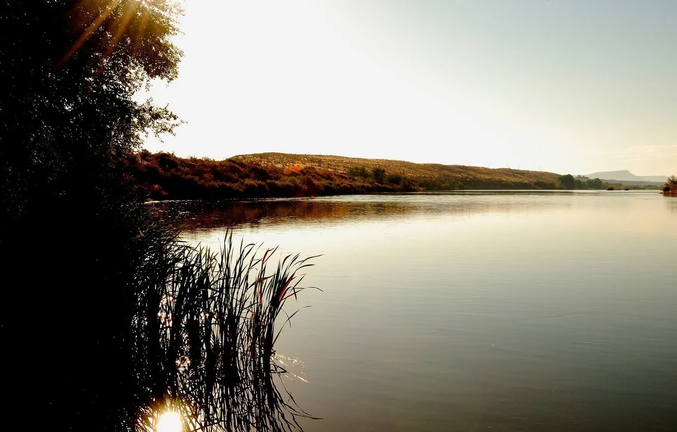 Photo wallpaper lake, pond, surface, reed