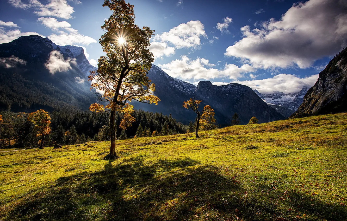 Photo wallpaper field, autumn, forest, the sky, the sun, clouds, light, mountains