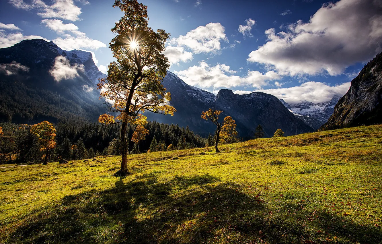 Wallpaper Field Autumn Forest The Sky The Sun Clouds Light