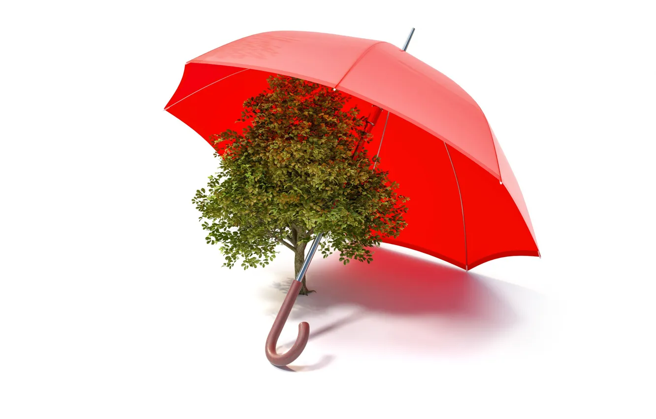 Photo wallpaper tree, collage, umbrella, ecology