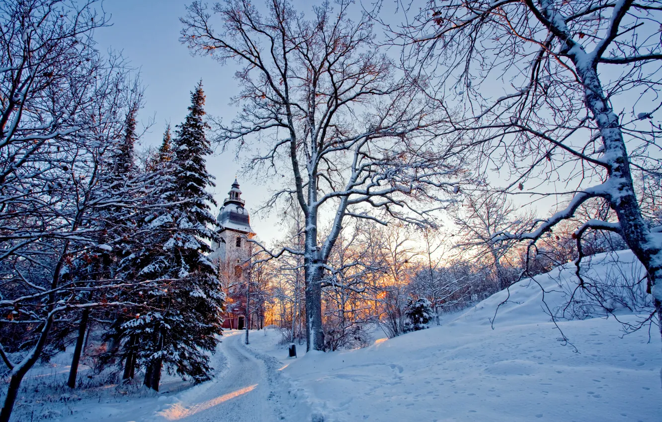 Photo wallpaper winter, light, snow, trees, nature, Church