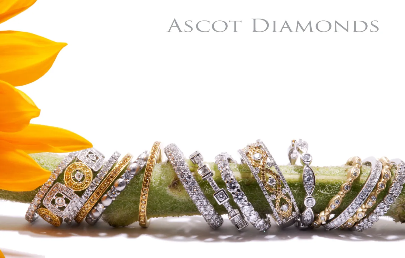 Photo wallpaper decoration, flowers, ring, diamond, Jewelery