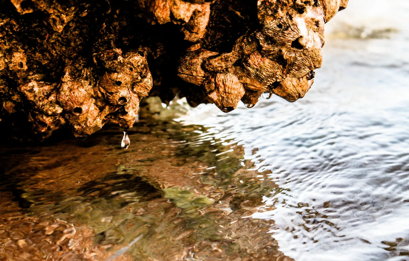 Photo wallpaper sea, water, stones, egiped