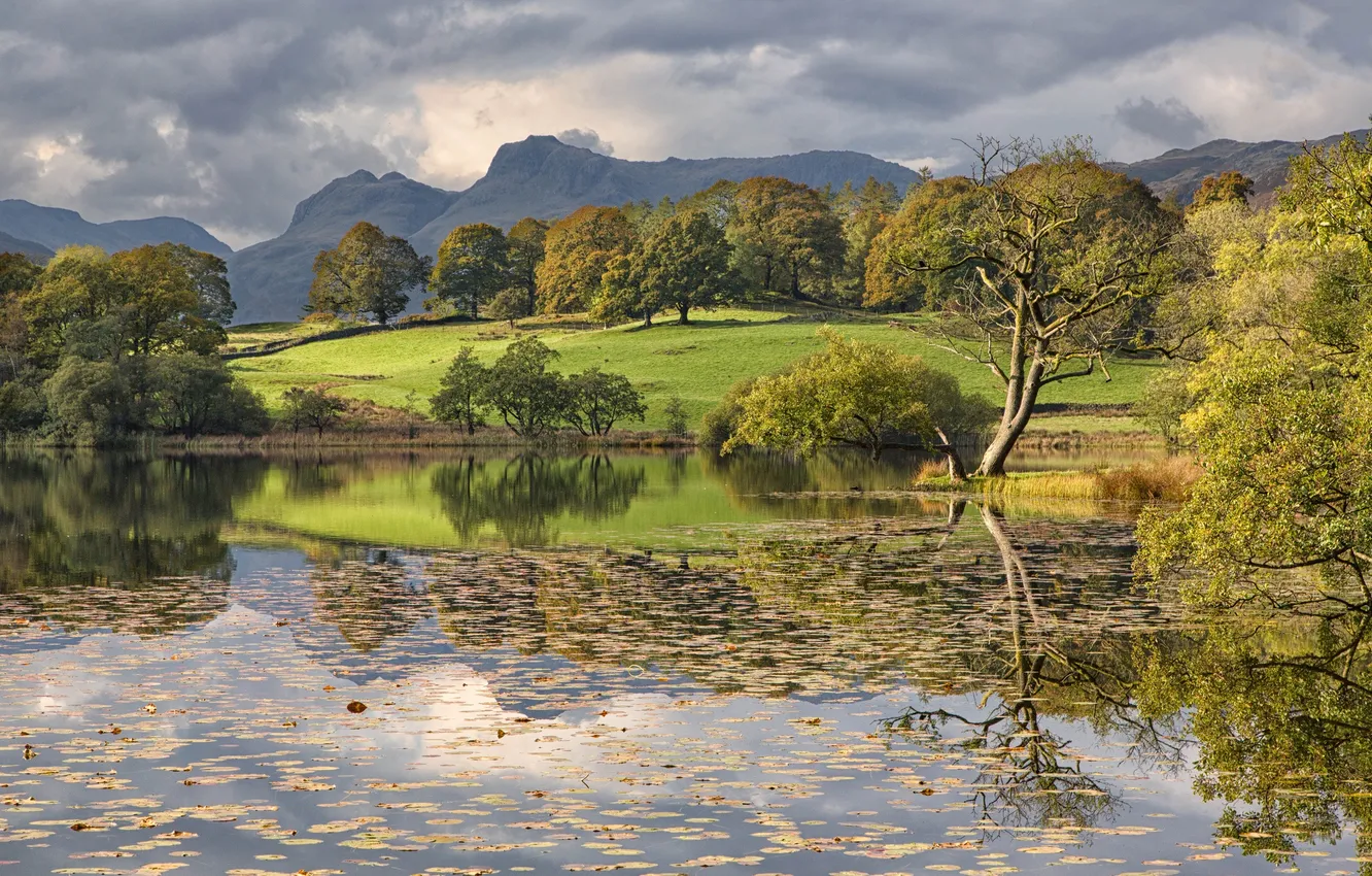 Photo wallpaper the sky, grass, trees, mountains, clouds, lake, hills