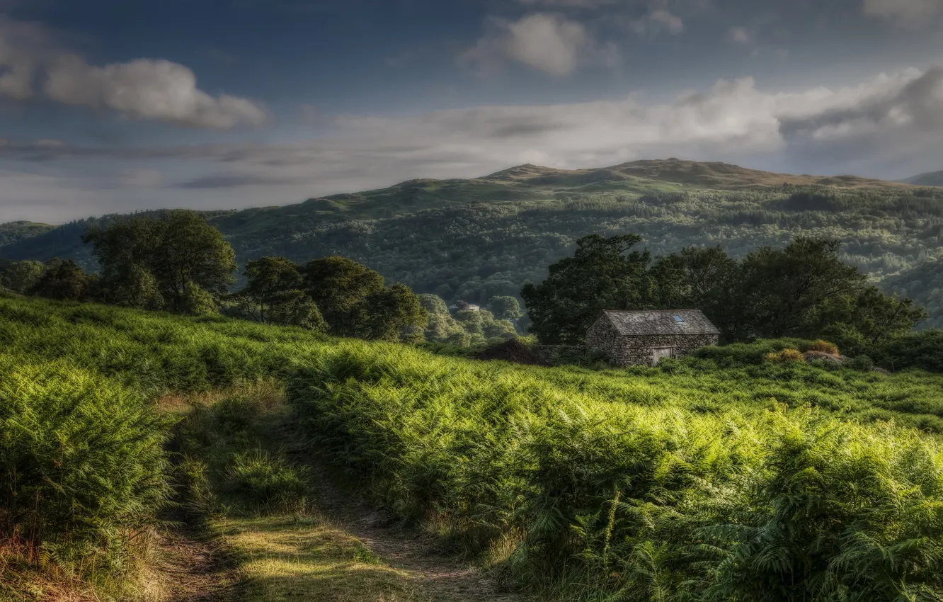 Photo wallpaper field, landscape, home, morning