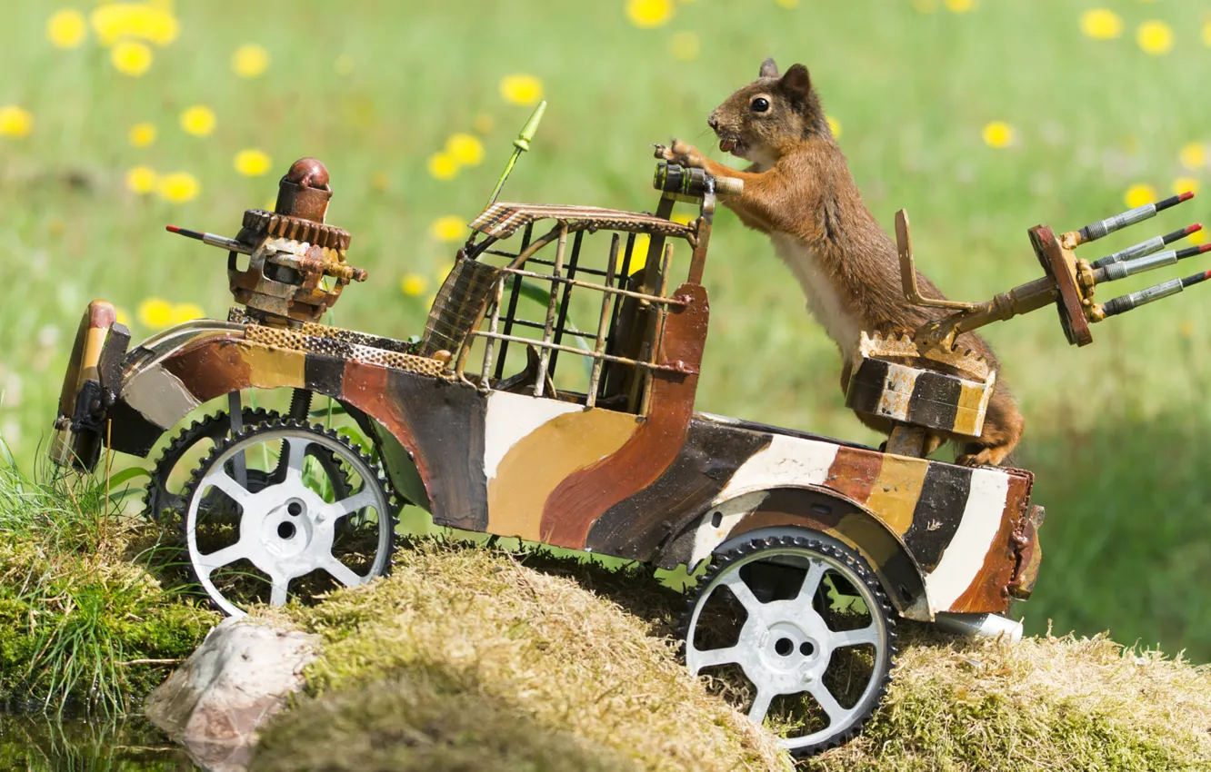 Photo wallpaper machine, language, summer, look, light, flowers, nature, pose