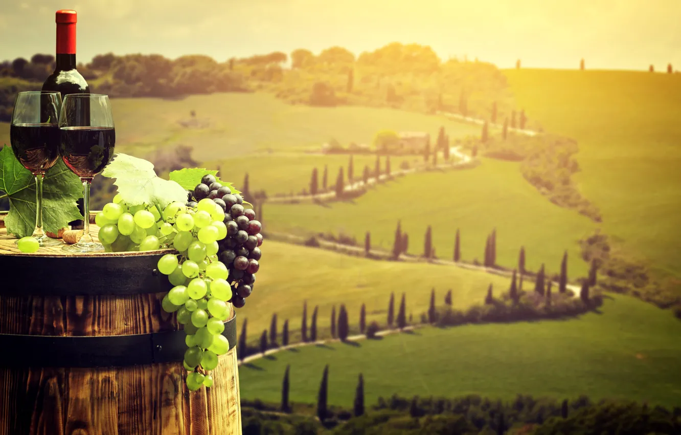 Photo wallpaper field, landscape, red, green, wine, glass, bottle, grapes