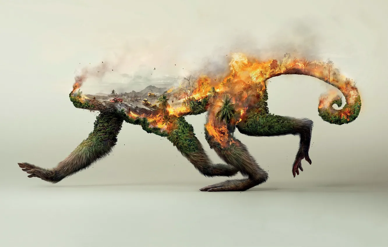 Photo wallpaper forest, fire, collage, monkey