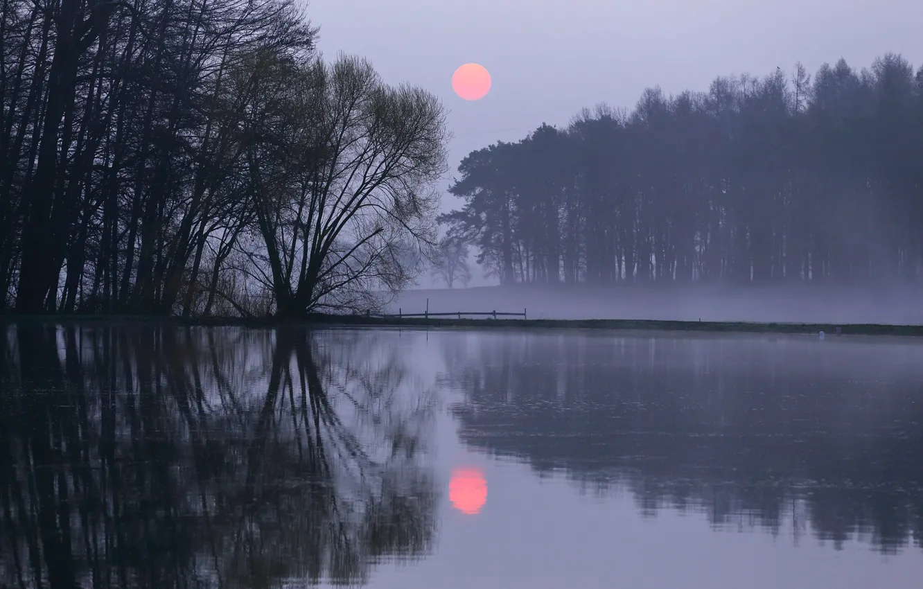 Photo wallpaper the sun, trees, sunset, lake, reflection