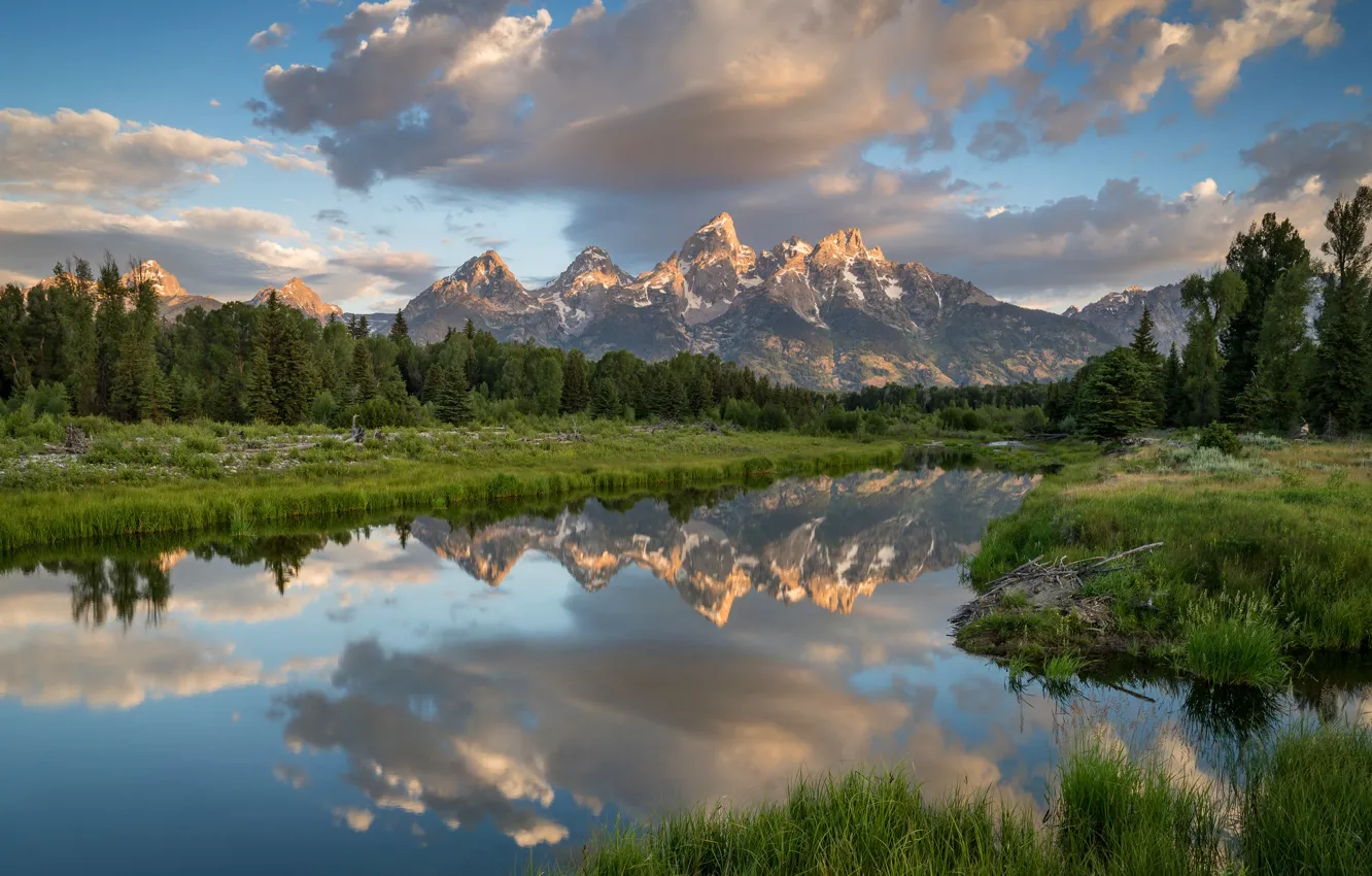 Photo wallpaper greens, forest, summer, the sky, grass, clouds, landscape, mountains