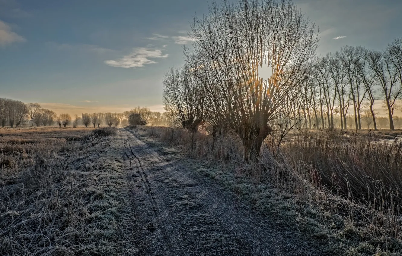 Photo wallpaper frost, road, landscape, morning