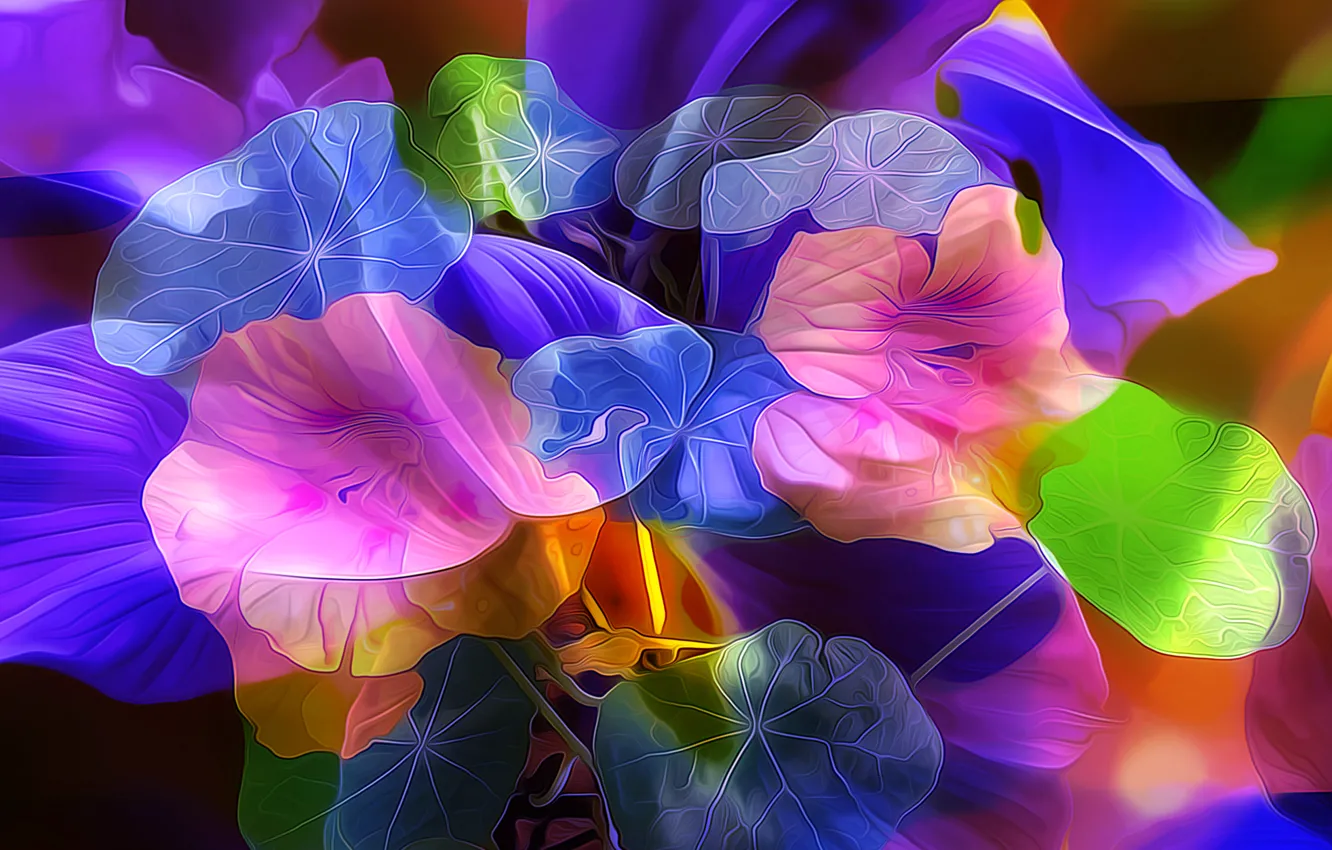 Photo wallpaper leaves, flowers, nature, petals, garden, flowerbed