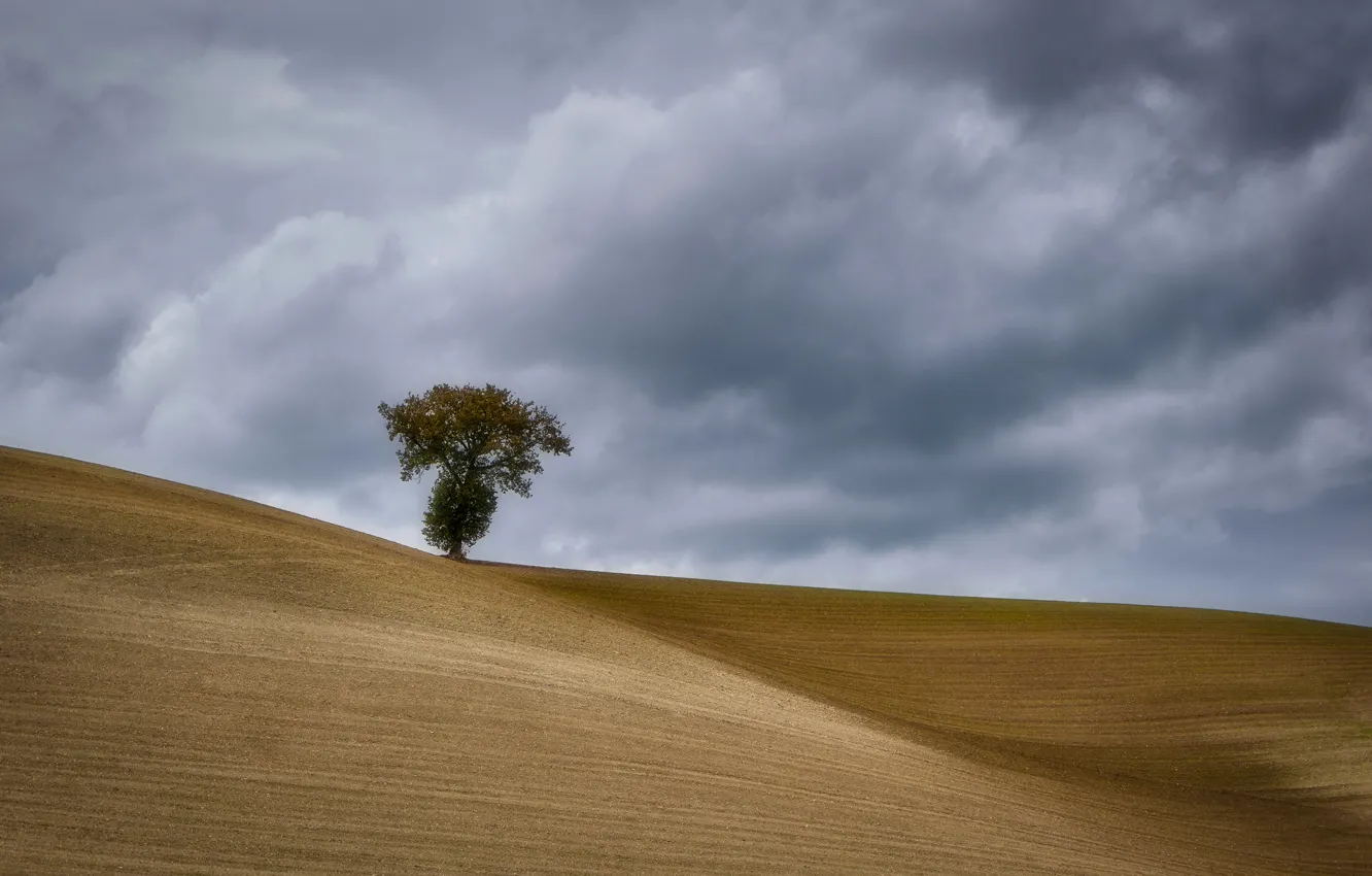 Photo wallpaper field, trees, clouds, hills