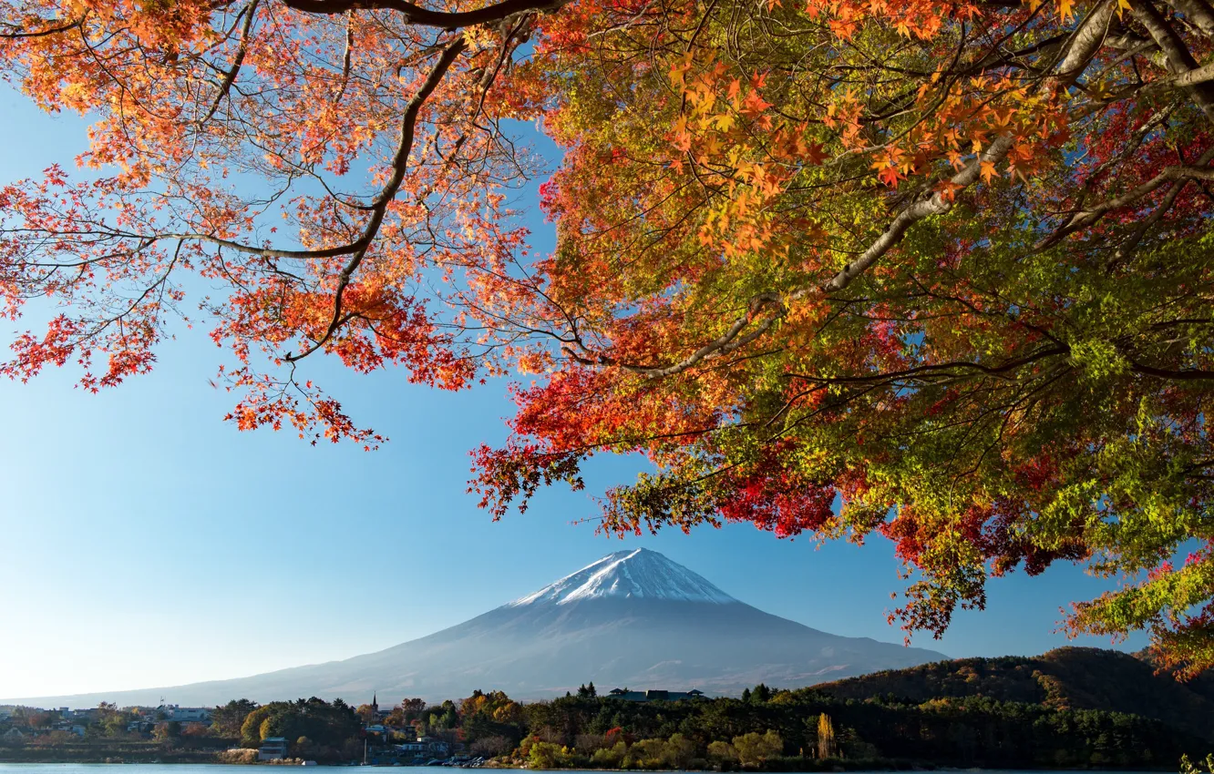 Photo wallpaper the sky, leaves, trees, mountains, branches, the volcano