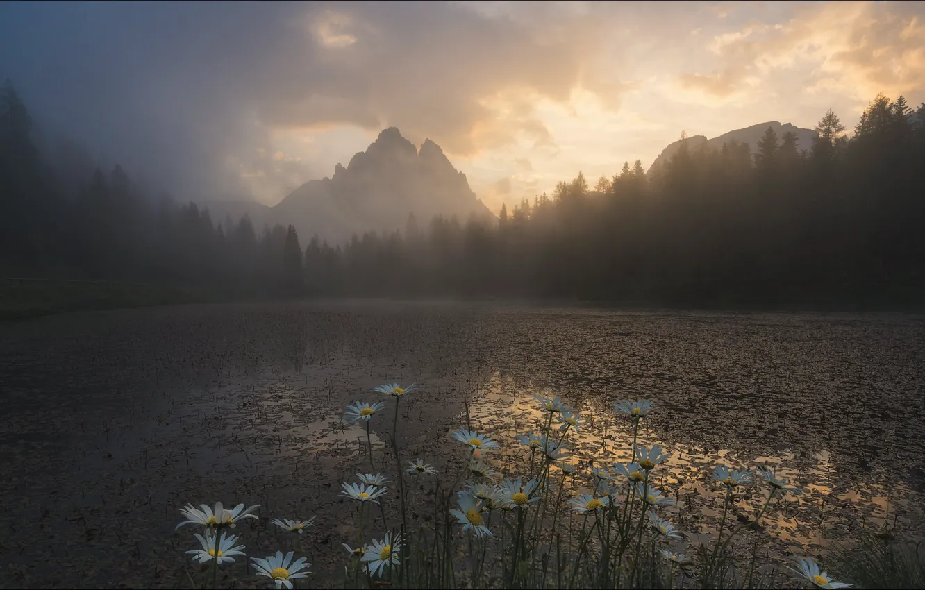Photo wallpaper flowers, mountains, nature, lake, the evening, nature, flowers, mountain