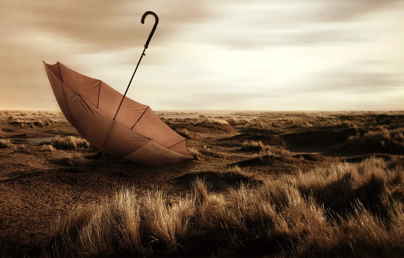 Photo wallpaper field, the sky, grass, clouds, mood, umbrella