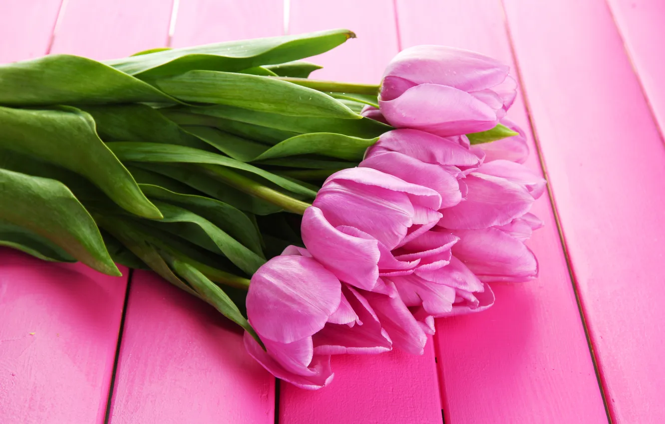 Photo wallpaper flowers, bouquet, tulips, pink, wood, pink, flowers, beautiful