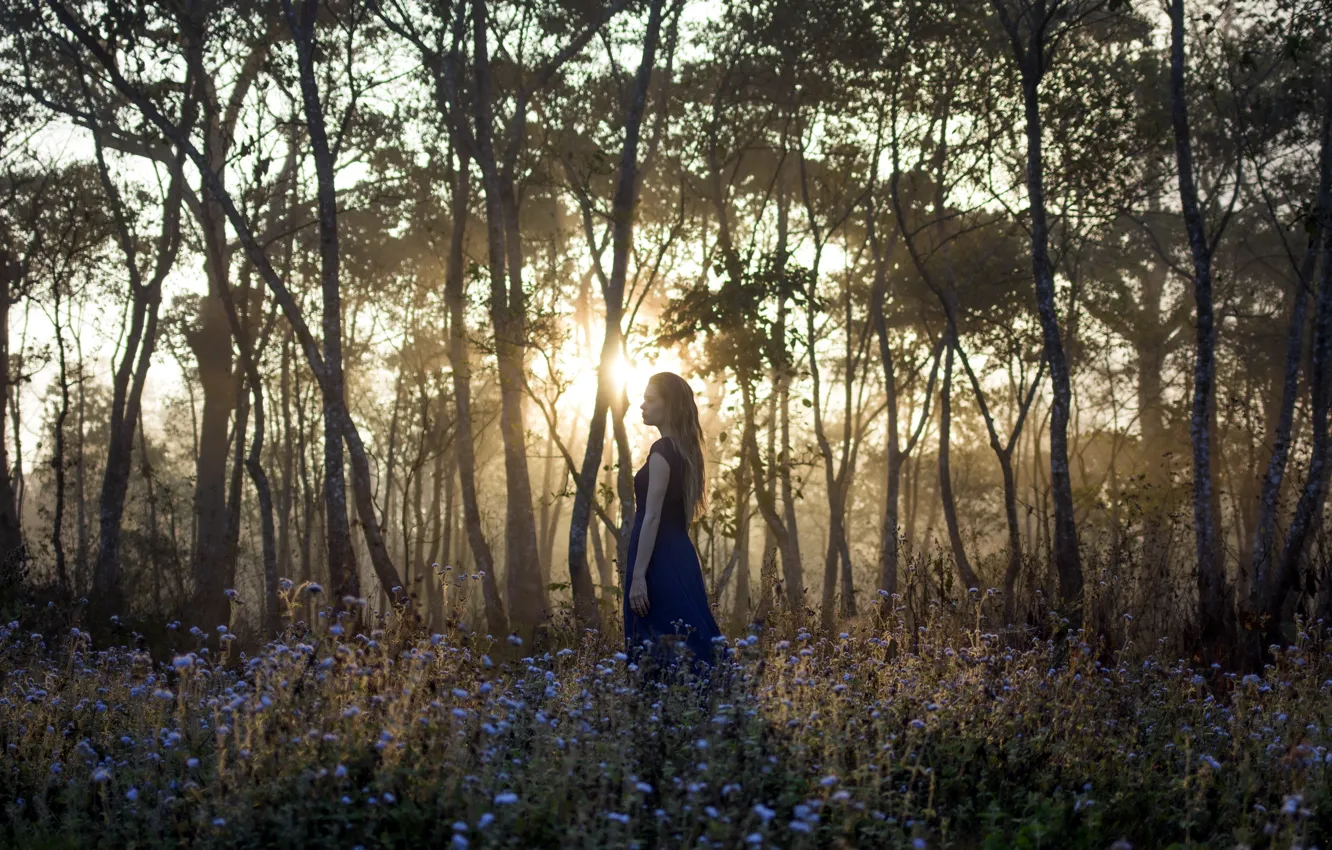 Photo wallpaper forest, girl, light, morning