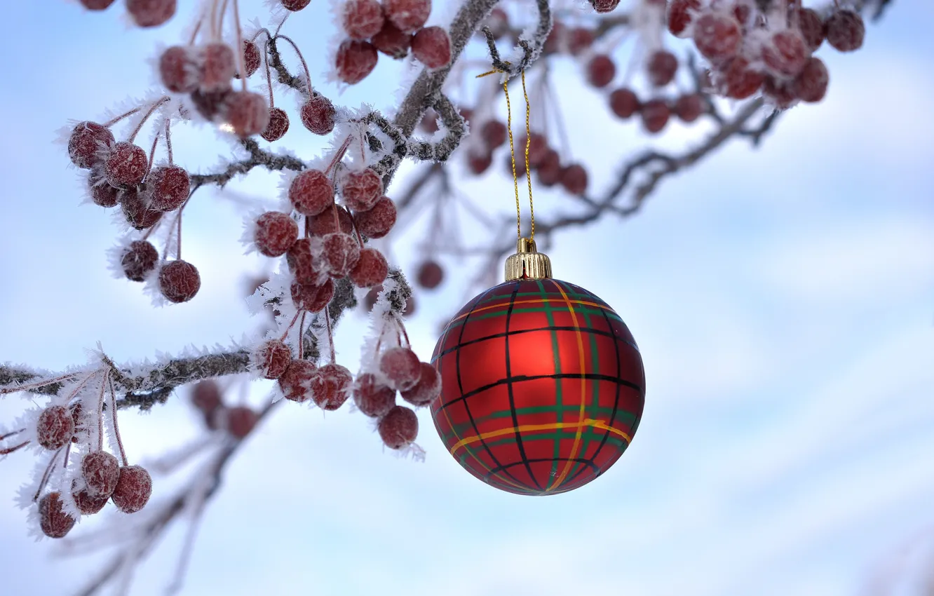 Photo wallpaper frost, berries, new year, Christmas, branch, ball, fruit, crystals