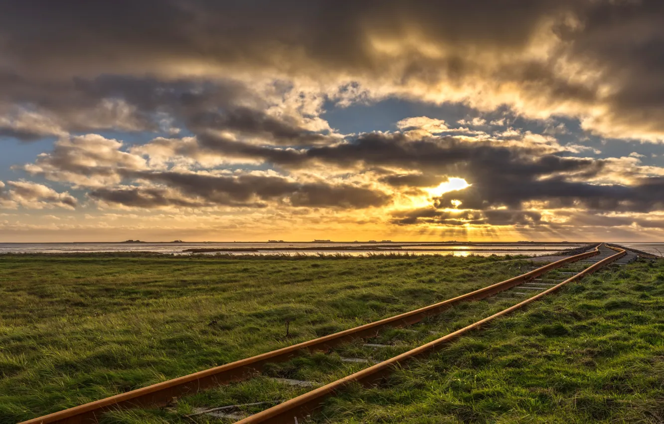 Photo wallpaper field, morning, railroad