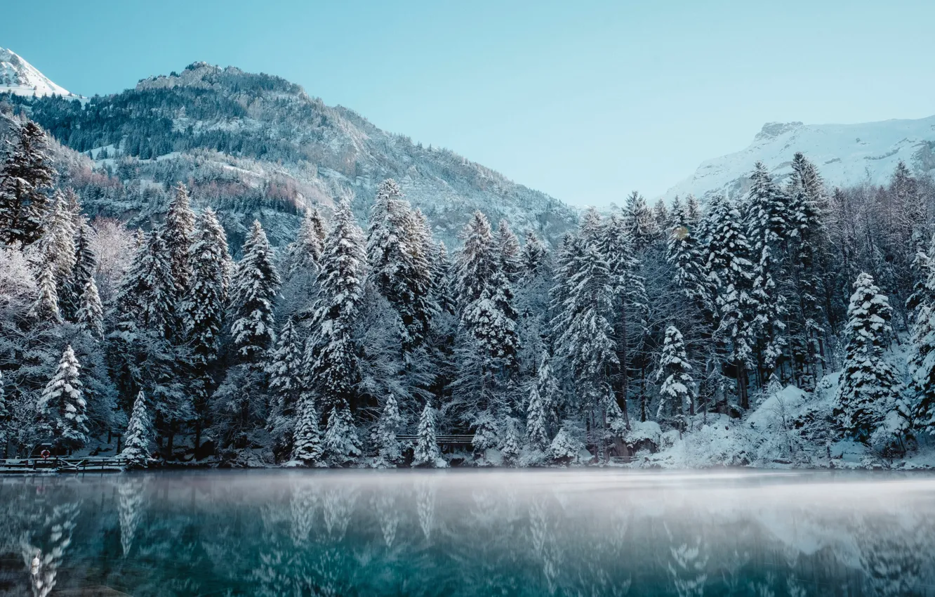 Photo wallpaper winter, forest, the sky, snow, trees, mountains, nature, lake