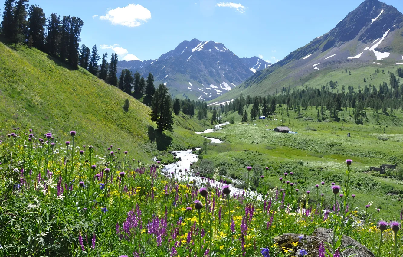 Photo wallpaper Nature, Mountains, Nature, Mountains, Altay, Altai