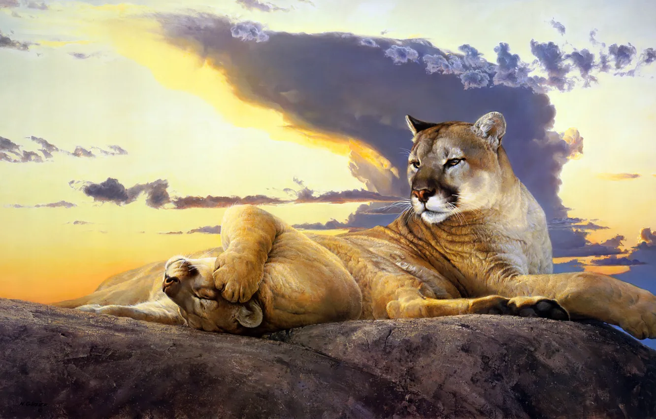 Photo wallpaper the sky, look, face, clouds, sunset, nature, pose, stones