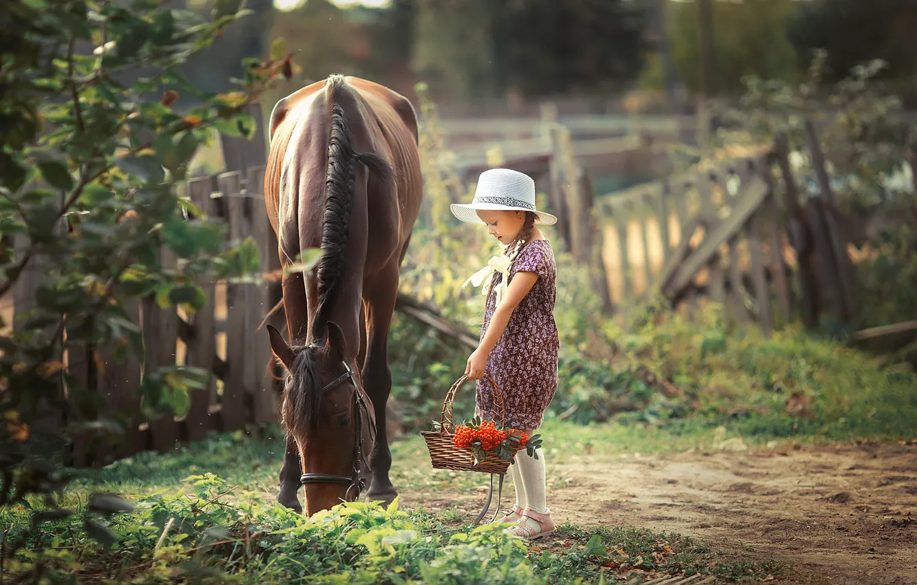 Photo wallpaper horse, girl, Rowan