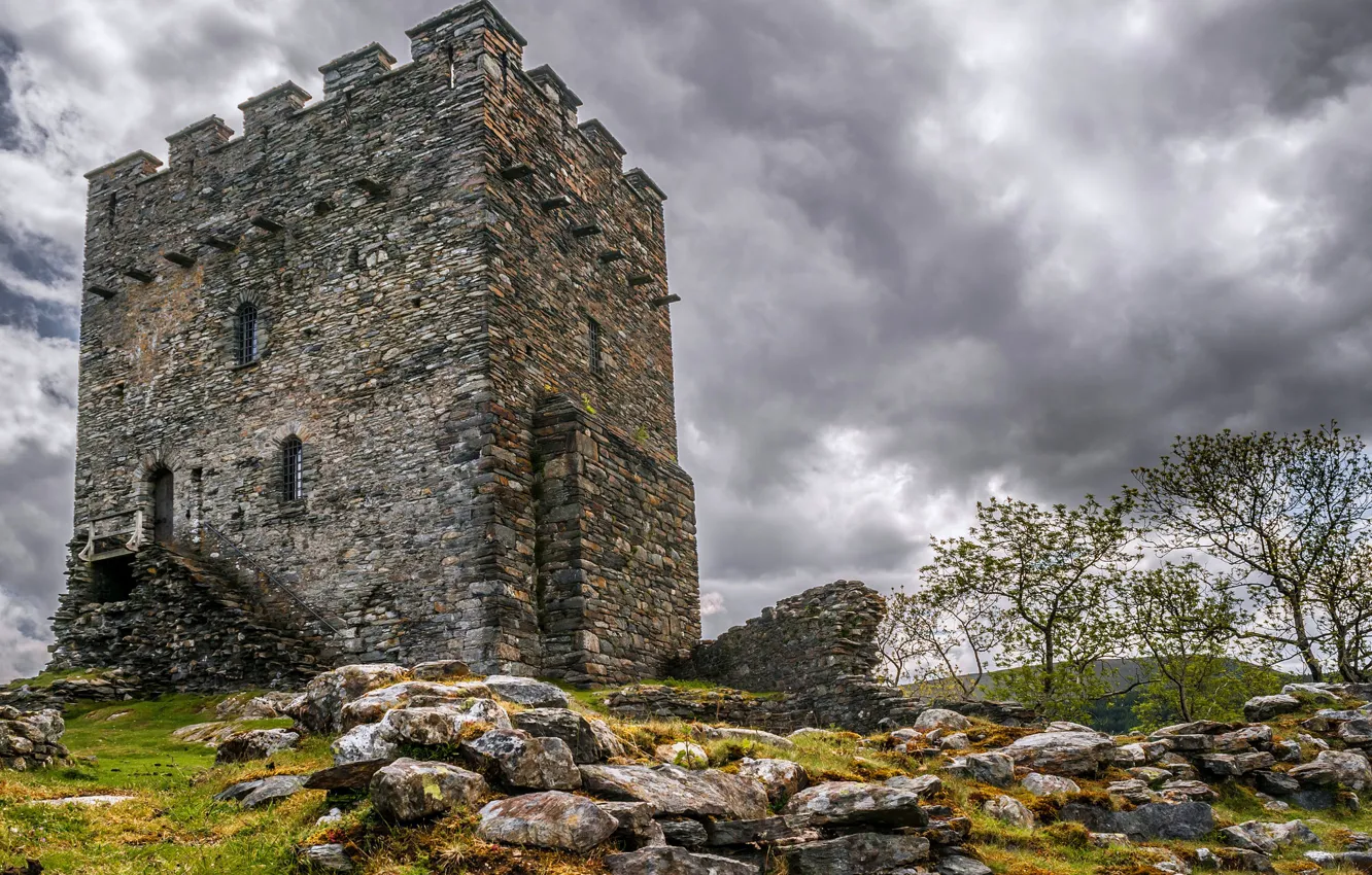 Photo wallpaper stones, castle, tower, Wales, Dolwyddelan