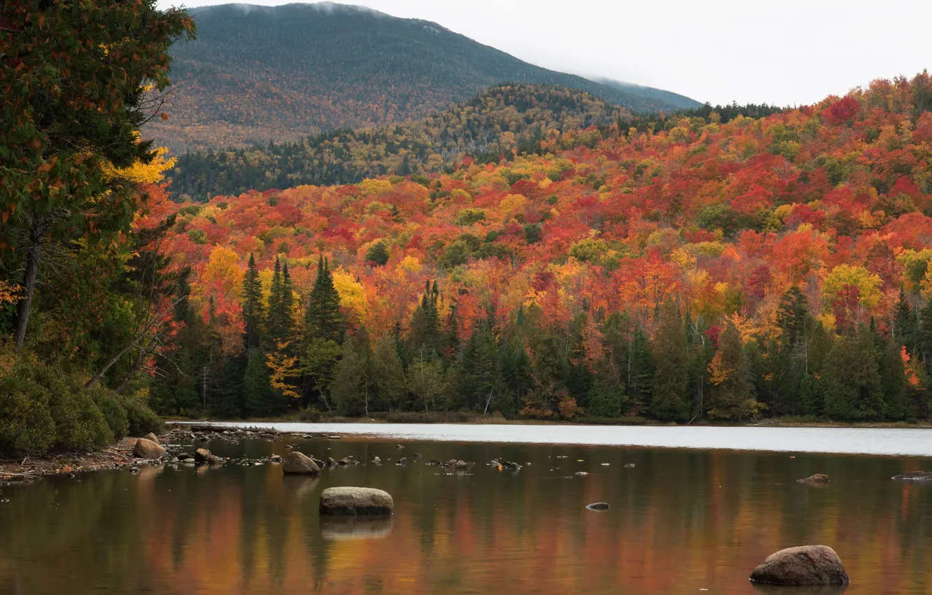 Photo wallpaper autumn, forest, trees, mountains, lake