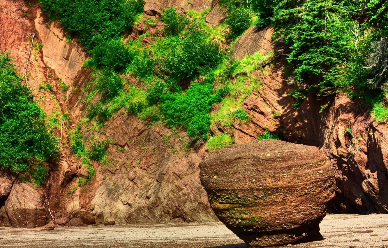 Photo wallpaper greens, mountains, stones, beauty
