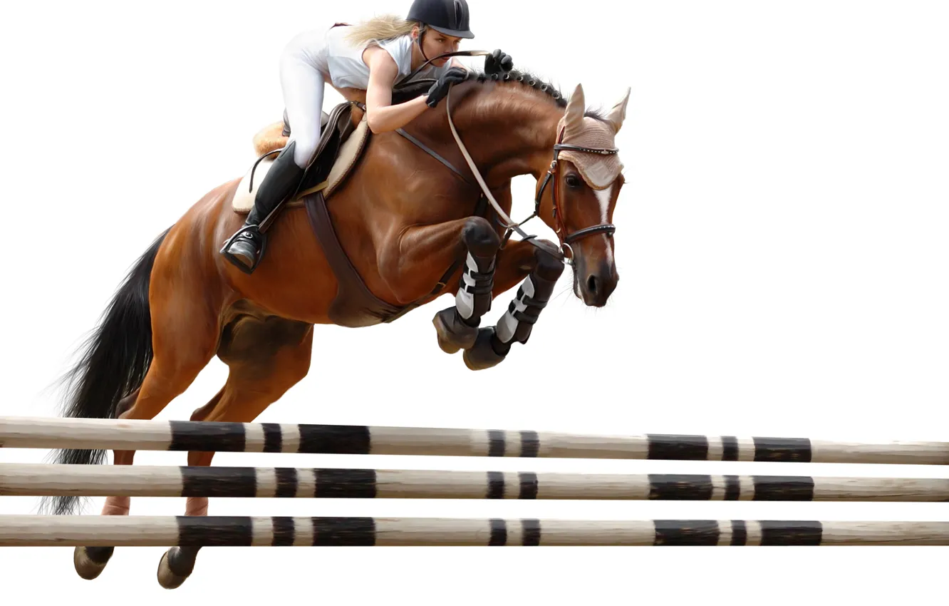 Photo wallpaper jump, horse, rider, obstacle, horse riding