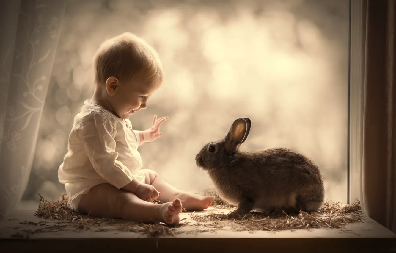 Photo wallpaper boy, rabbit, window