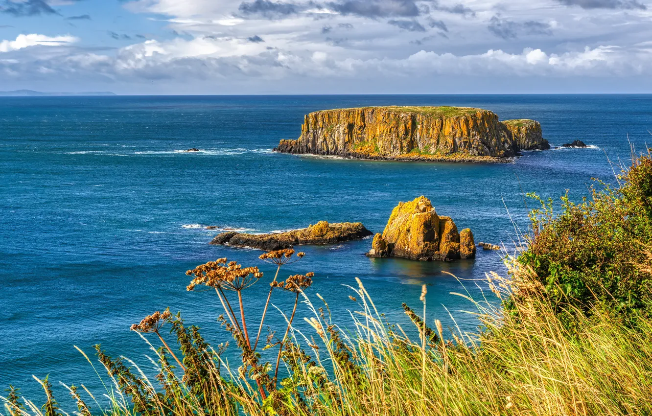 Photo wallpaper grass, shore, the bushes, sea, clouds, rocks, stones