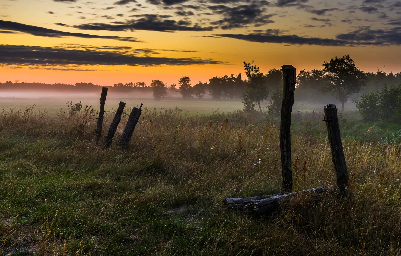 Photo wallpaper field, grass, fog, posts