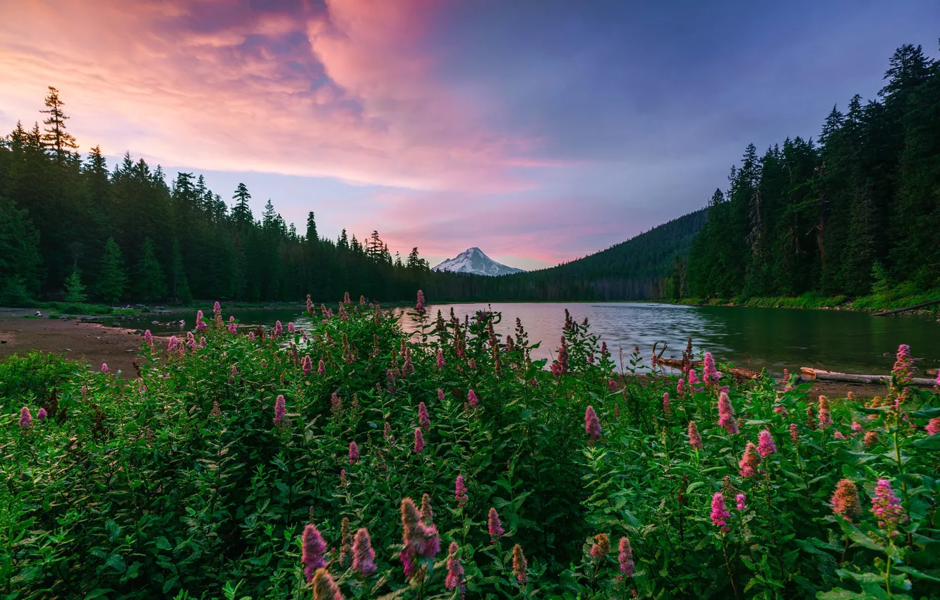 Photo wallpaper landscape, sunset, mountains, nature, lake, Oregon, USA, grass