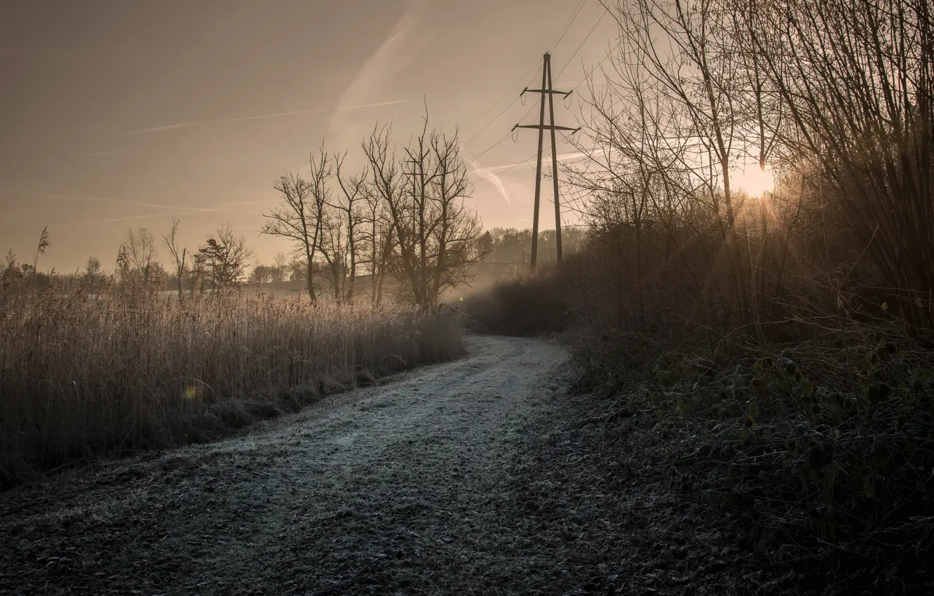 Photo wallpaper road, fog, morning