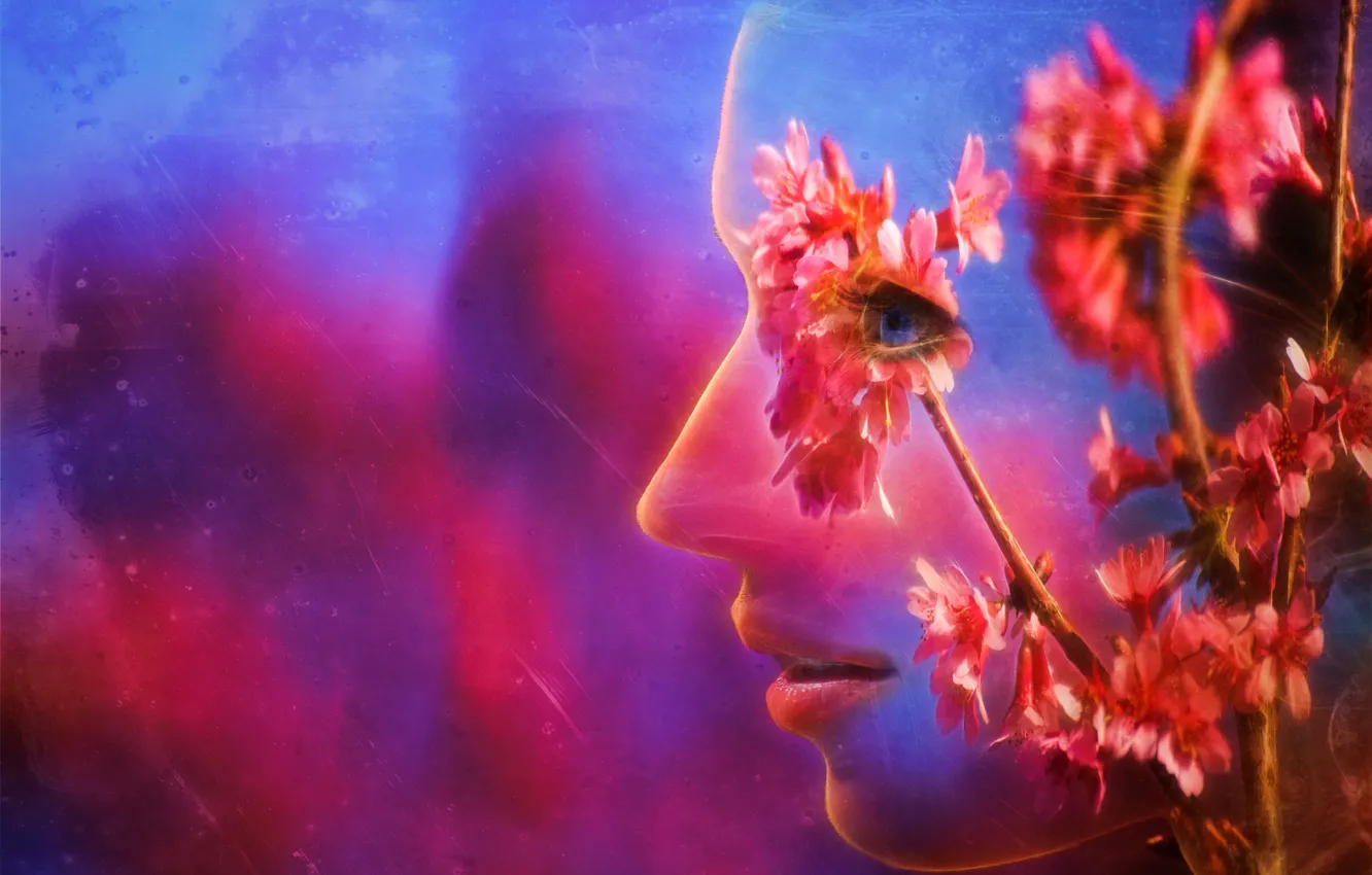 Photo wallpaper flowers, face, branch, spring, profile