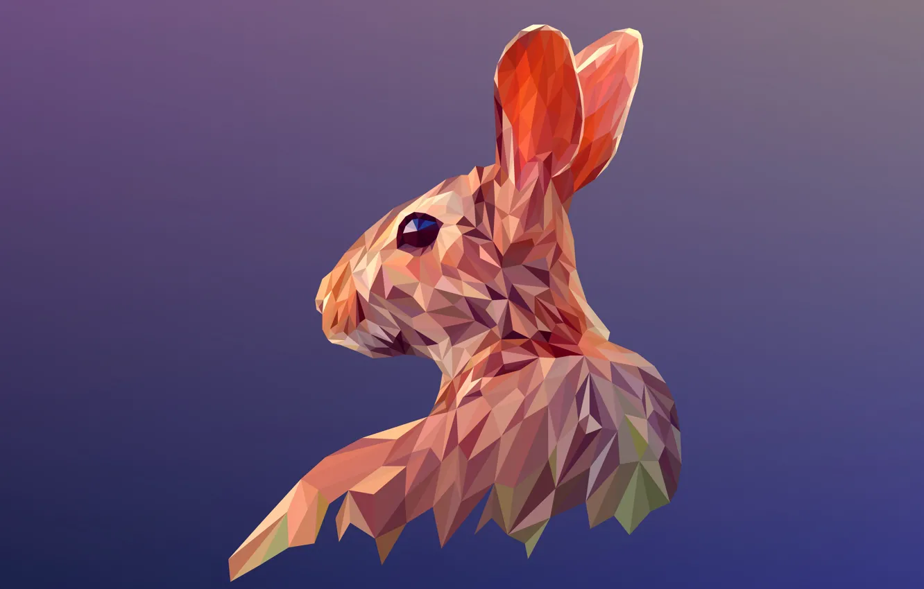 Photo wallpaper grey, hare, lowpoly