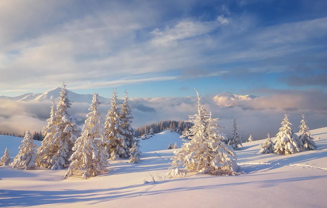 Photo wallpaper cold, winter, forest, the sky, clouds, snow, landscape, mountains