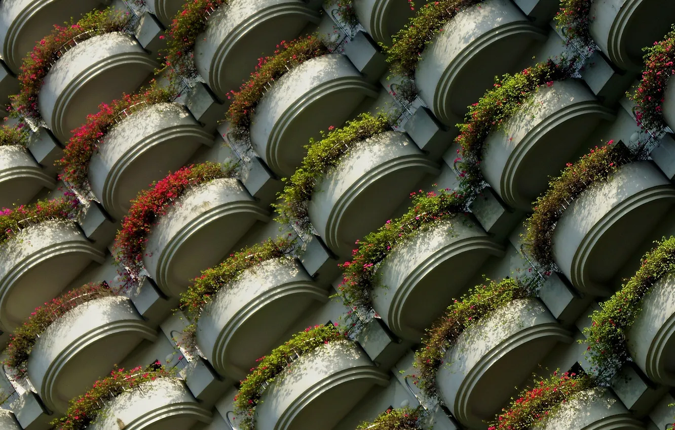 Photo wallpaper flowers, building, balcony, semicircle