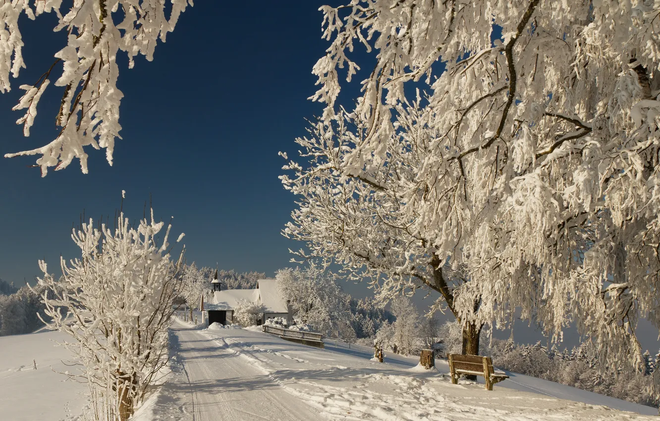 Photo wallpaper winter, road, snow, branches, nature