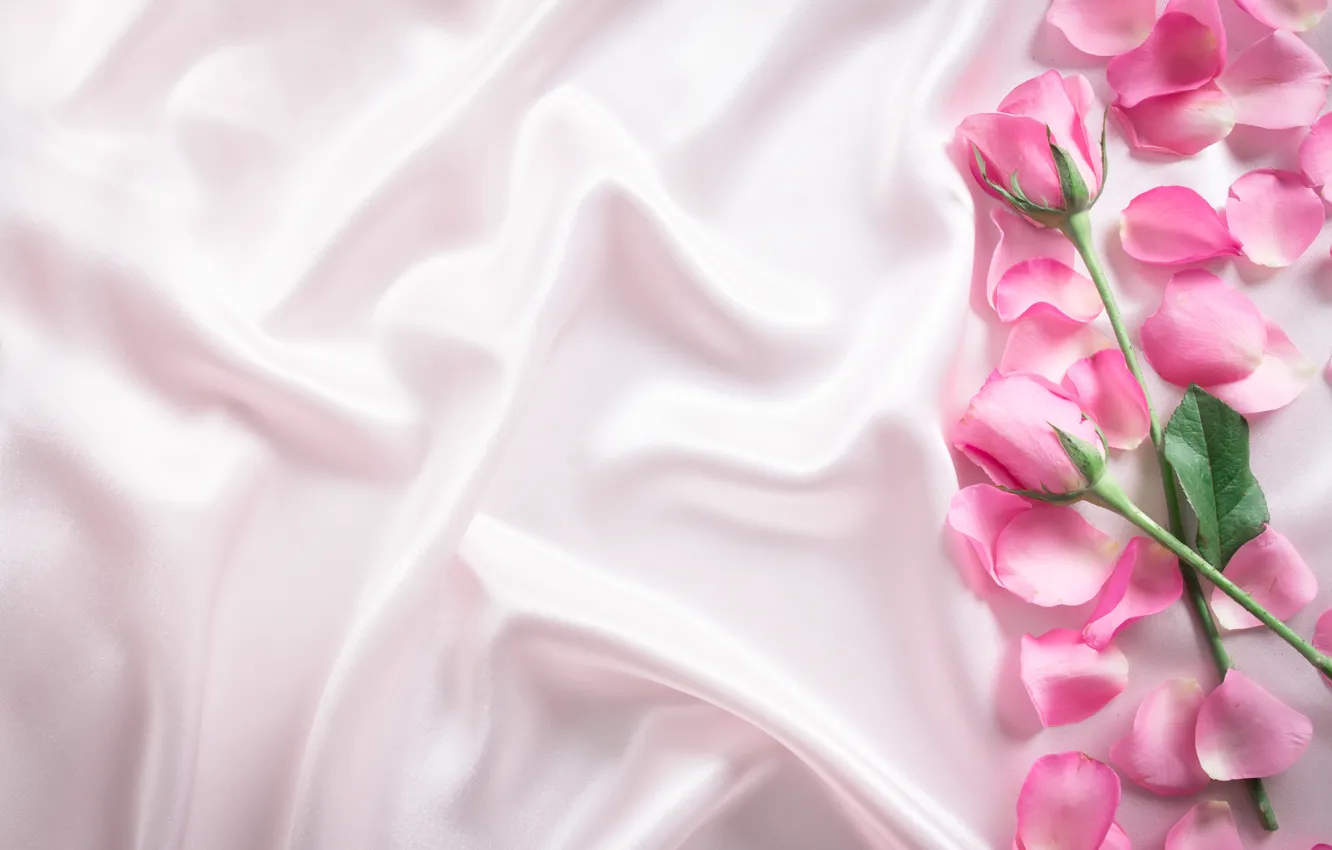 Photo wallpaper flowers, roses, petals, silk, pink, buds, fresh, pink