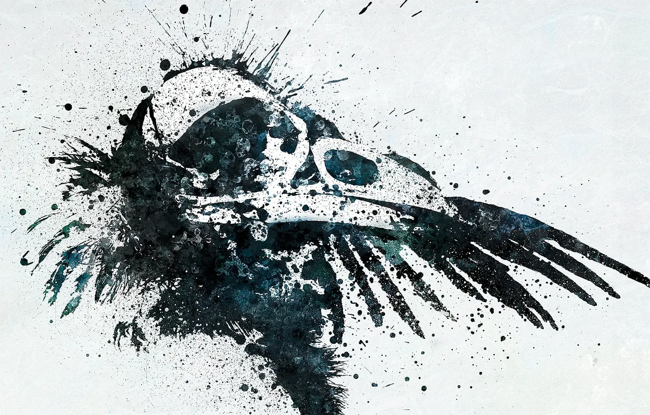 Photo wallpaper squirt, skull, beak