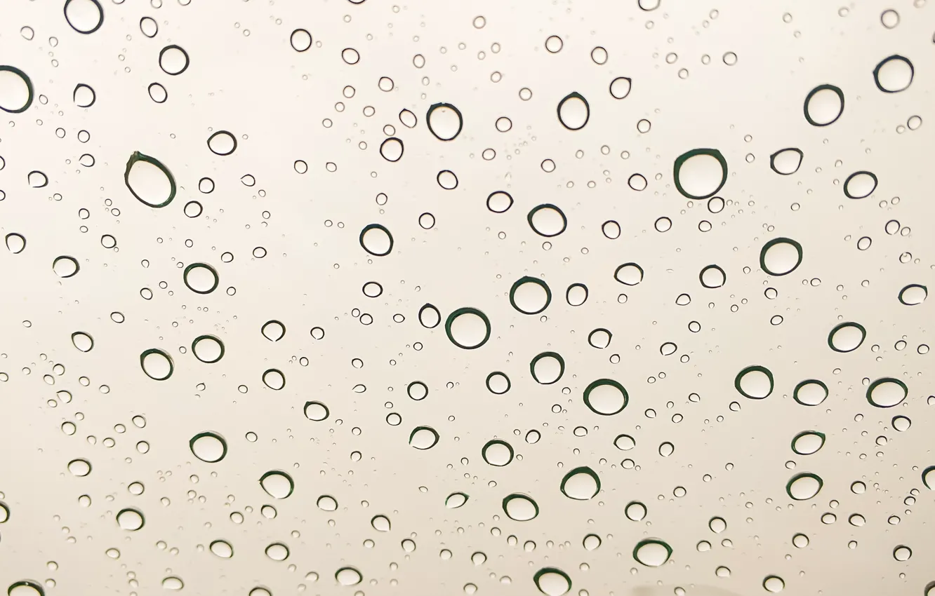 Photo wallpaper water, drops, background, wet