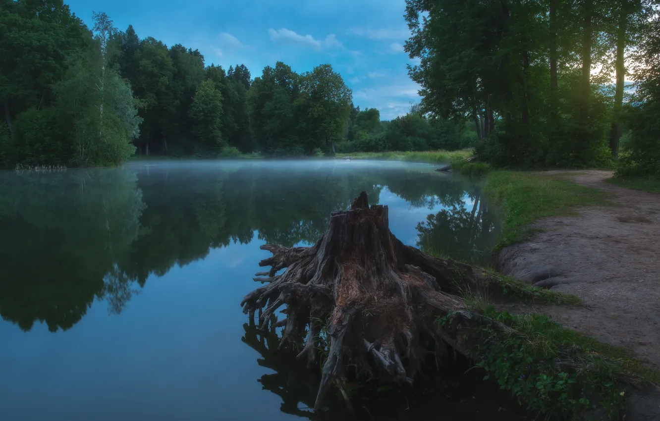 Photo wallpaper forest, summer, landscape, sunset, nature, lake, reflection, shore